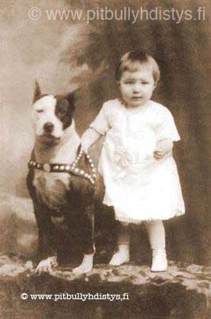 201331825DRqvsO_ph-277x420-