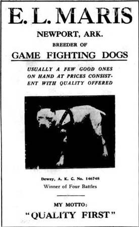 ELMarisDEWEY-366x600