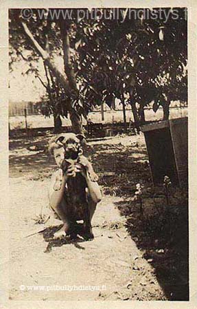 Vintagedogpitputboyhold