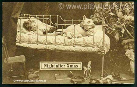 XmasNightAfter-600x382