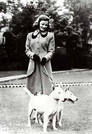 actressbullterrier_W