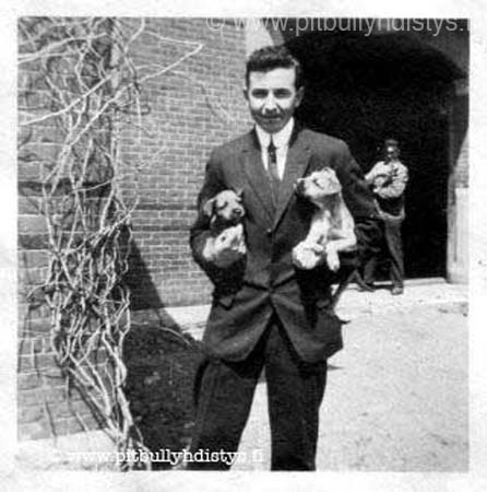 manholdpuppies_W-320x323